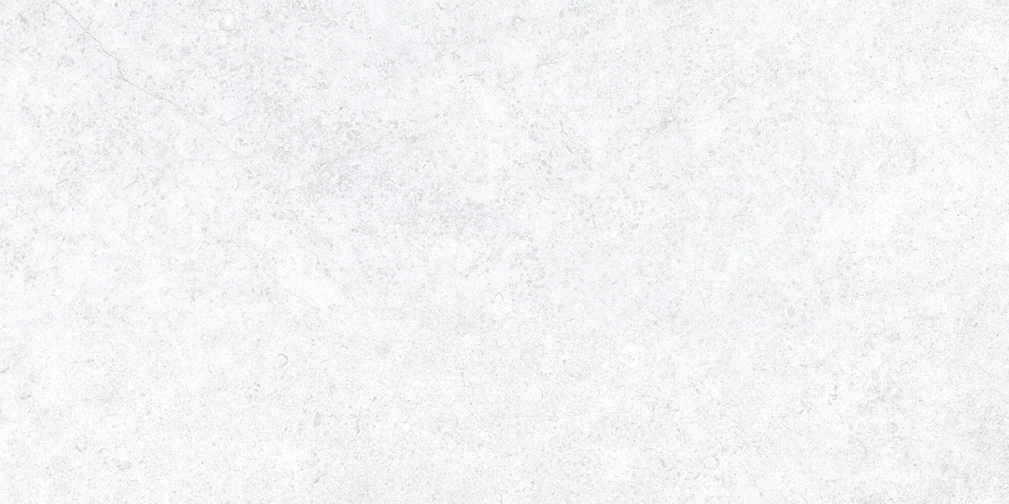 Cluny White 24