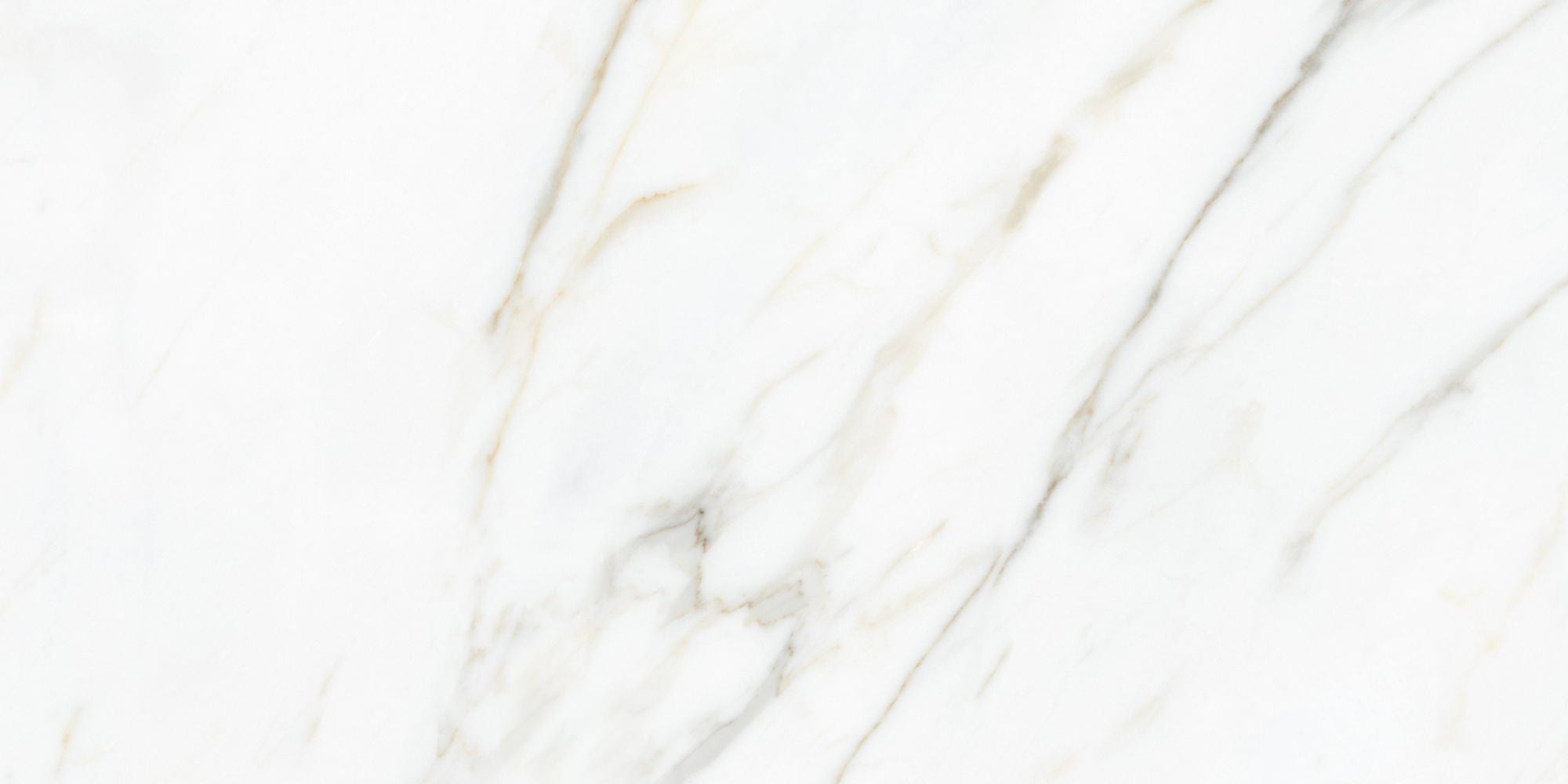 Close-up of Calacatta Gold tile showing gold and grey marble veining with polished finish