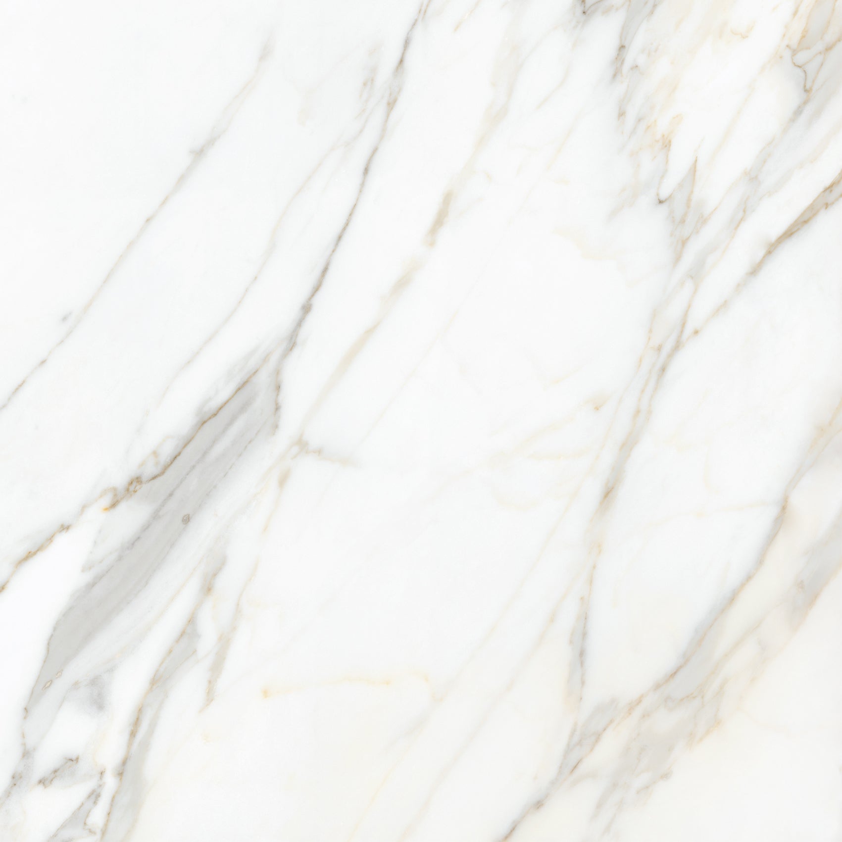 Calacatta Gold 24x24 Polished Marble Look Porcelain Tile
