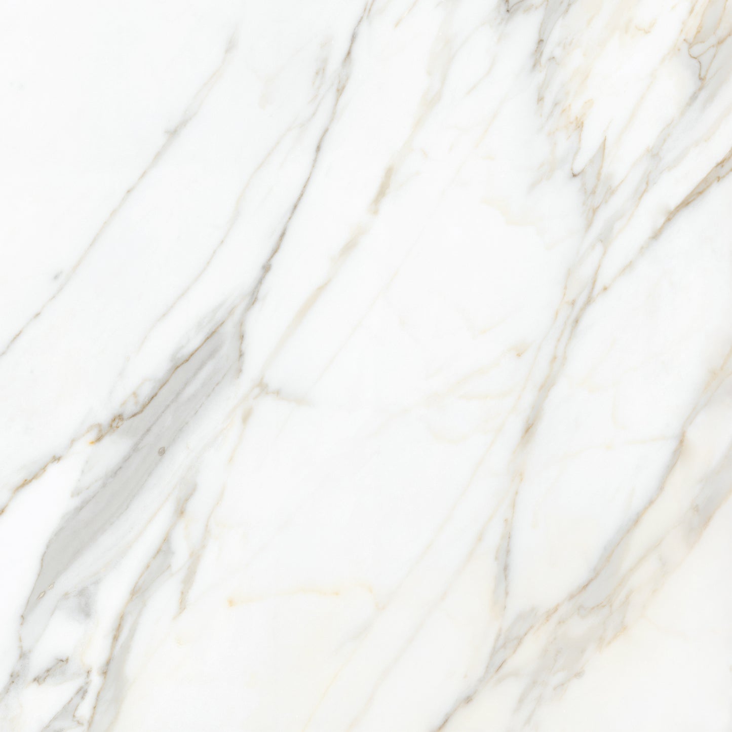 Calacatta Gold 24x24 Polished Marble Look Porcelain Tile