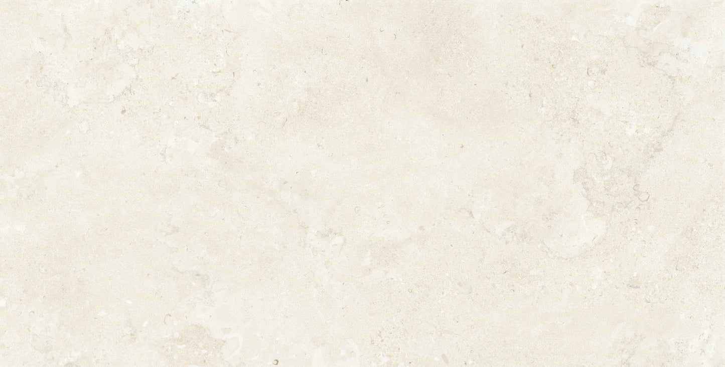 Capital Pearl Honed 24"x48" Matte Finish Porcelain Tile