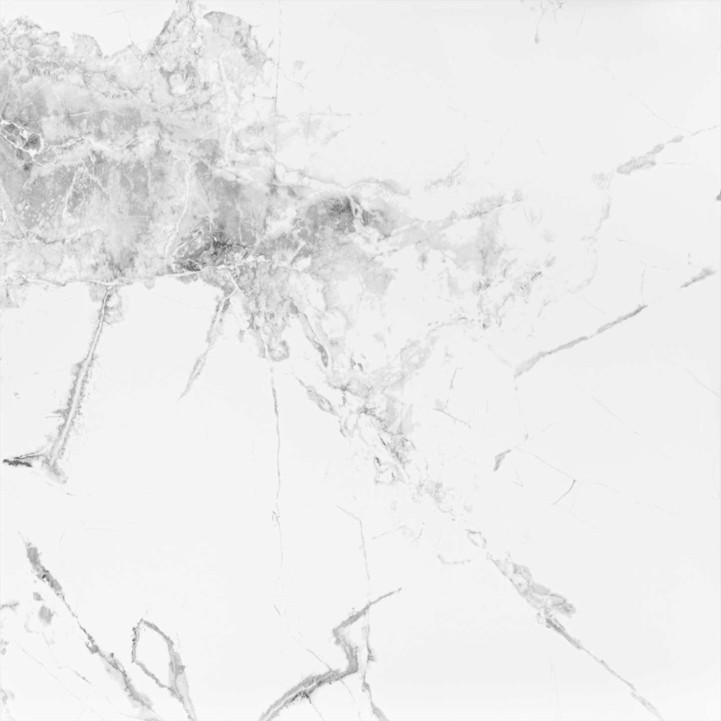 Classic Venato 24x24 Polished Marble Look Porcelain Tile