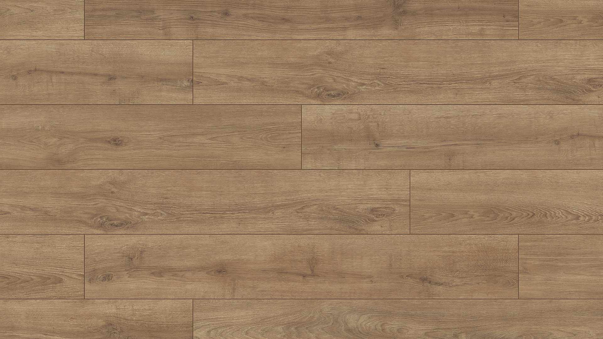 Eurostyle Clay Sola Oak 7