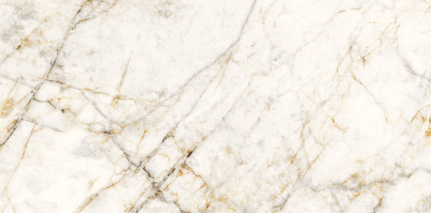 Cuarzo Reno 24x48 Matte Finish Marble Look Porcelain Tile