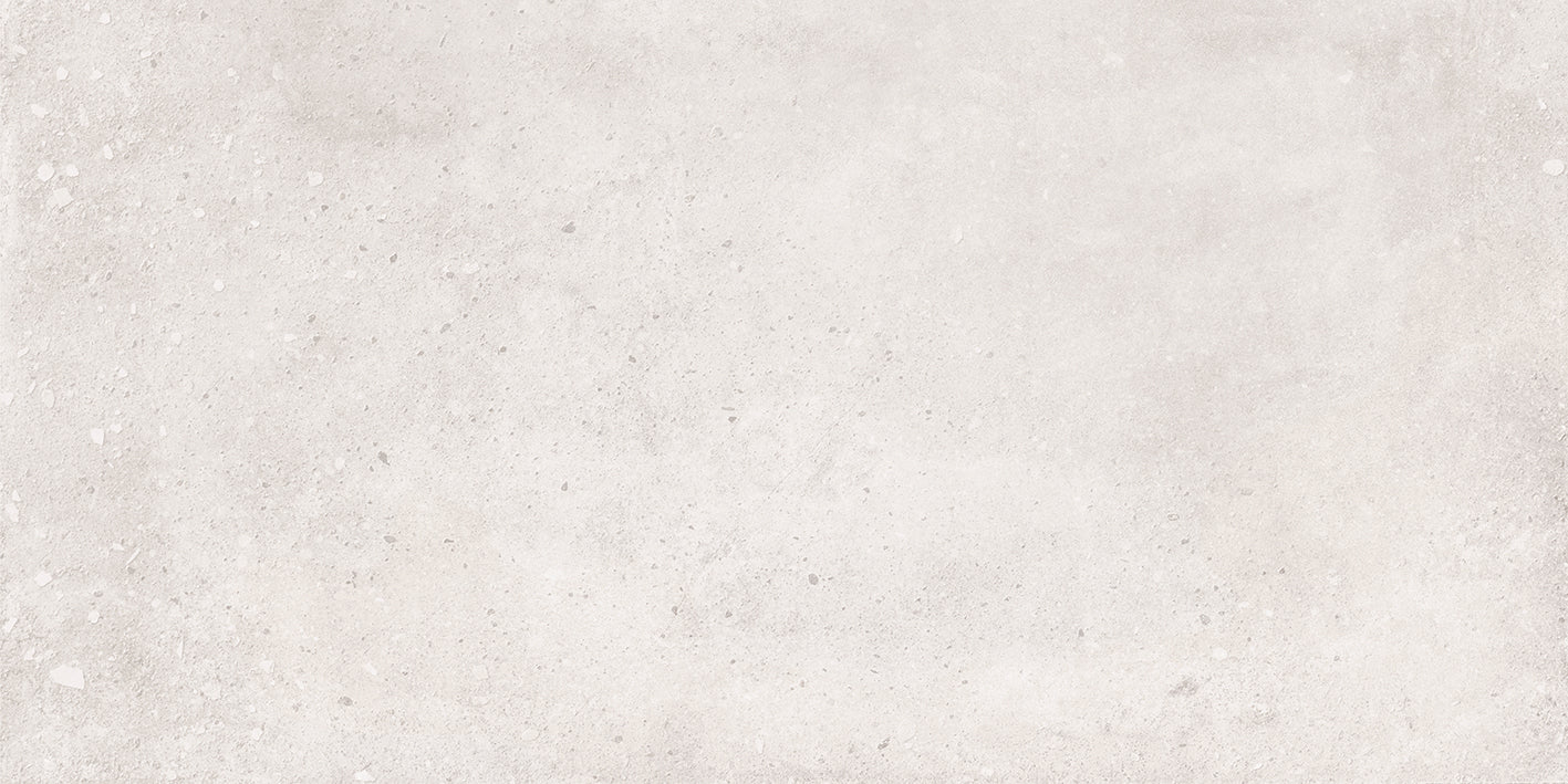 Daniel Blanc 12x24 Matte Finish Porcelain Terrazzo Tile