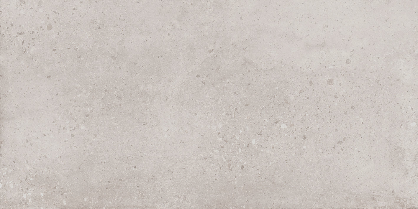 Daniel Greige 12x24 Matte Finish Porcelain Terrazzo Tile