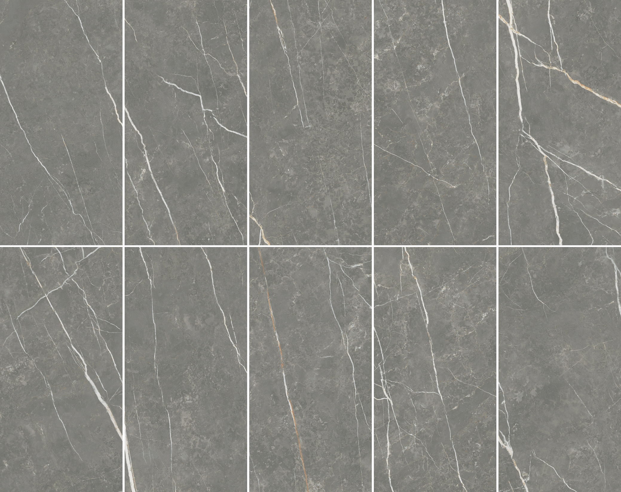 Elite Graphite 12x24 Polished