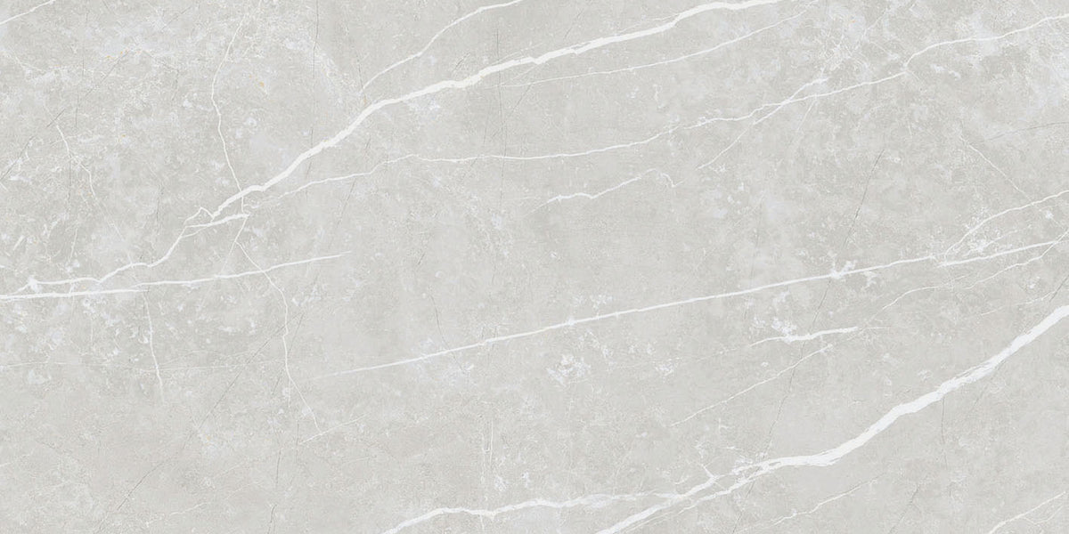 Elite Silver 12x24 Polished