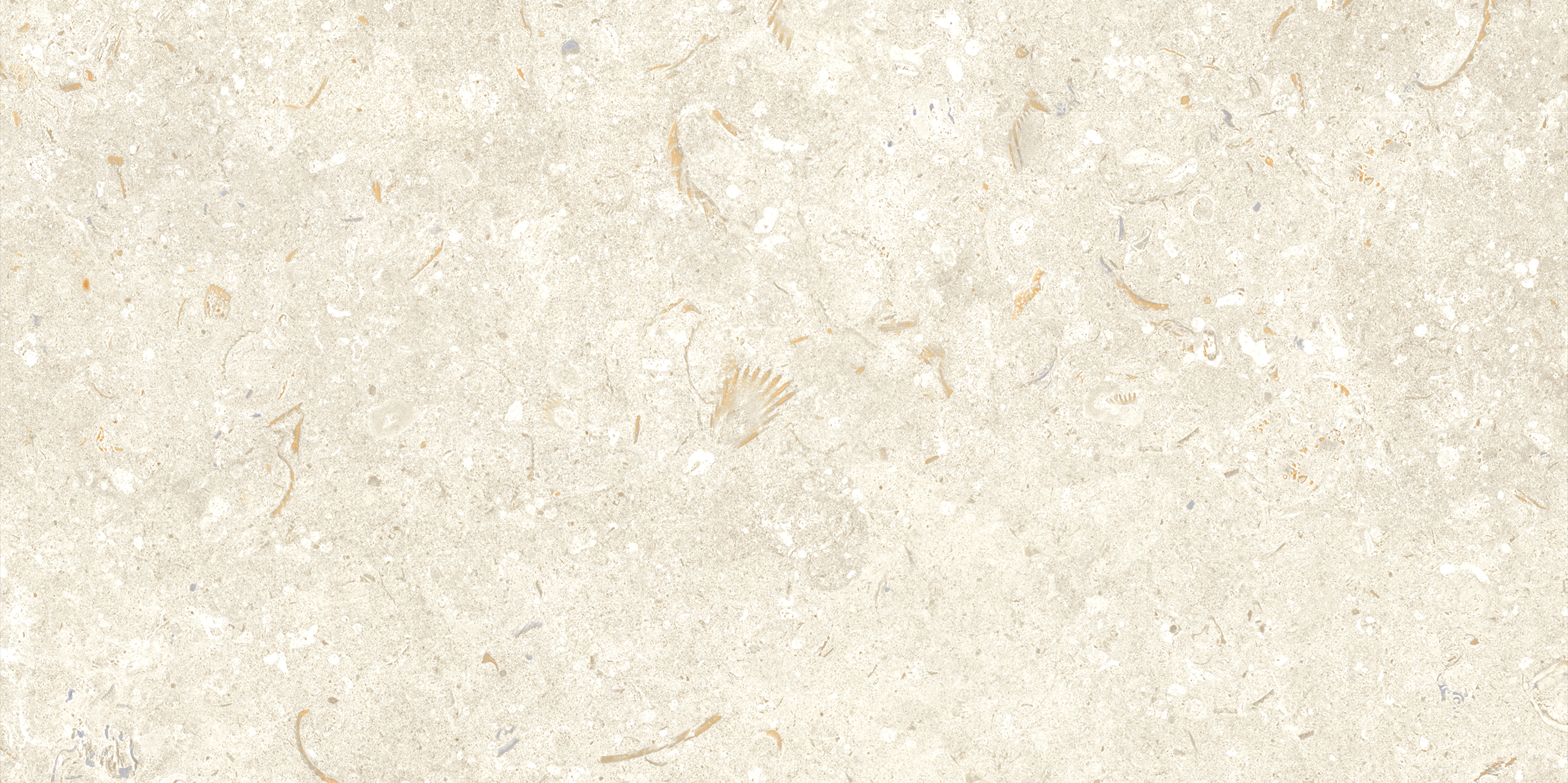 Fosil Bone 12x24 Matte Finish Porcelain Tile
