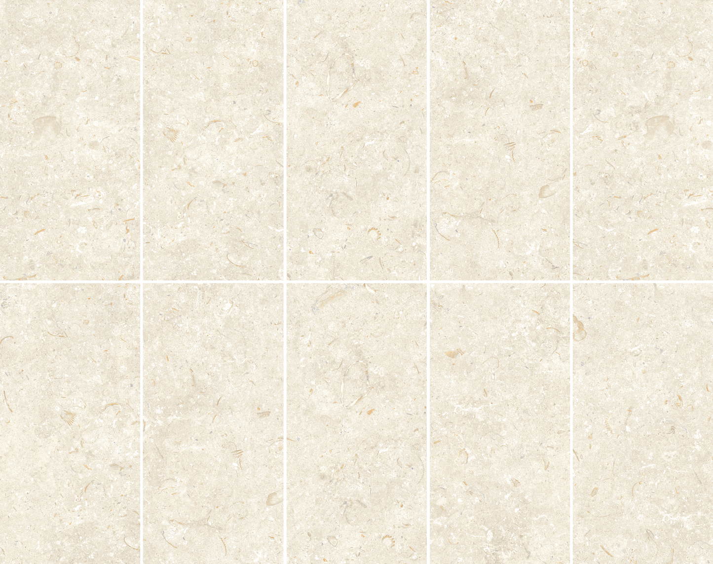 Fosil Bone 12x24 Matte Finish Porcelain Tile