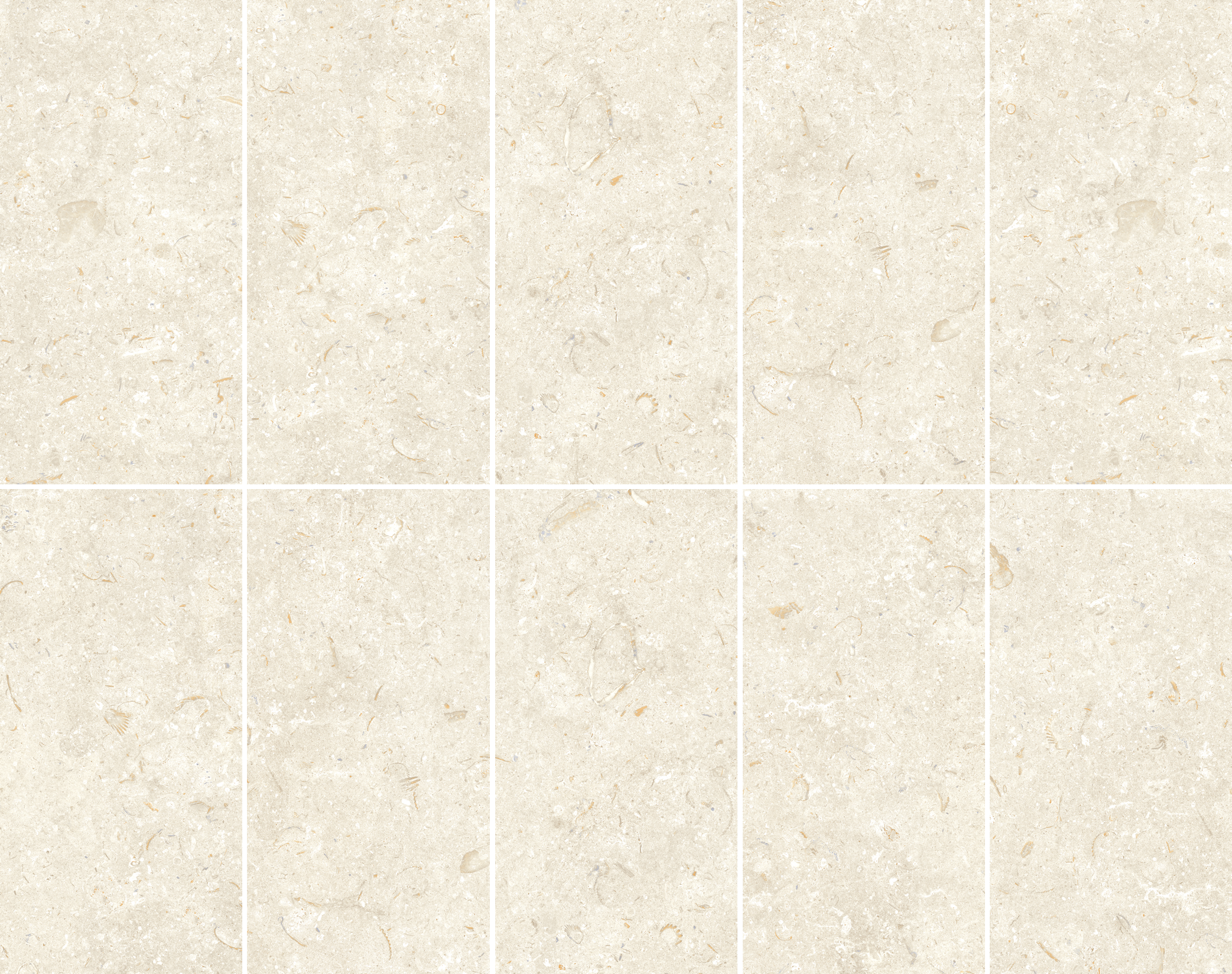 Fosil Bone 12x24 Matte Finish Porcelain Tile