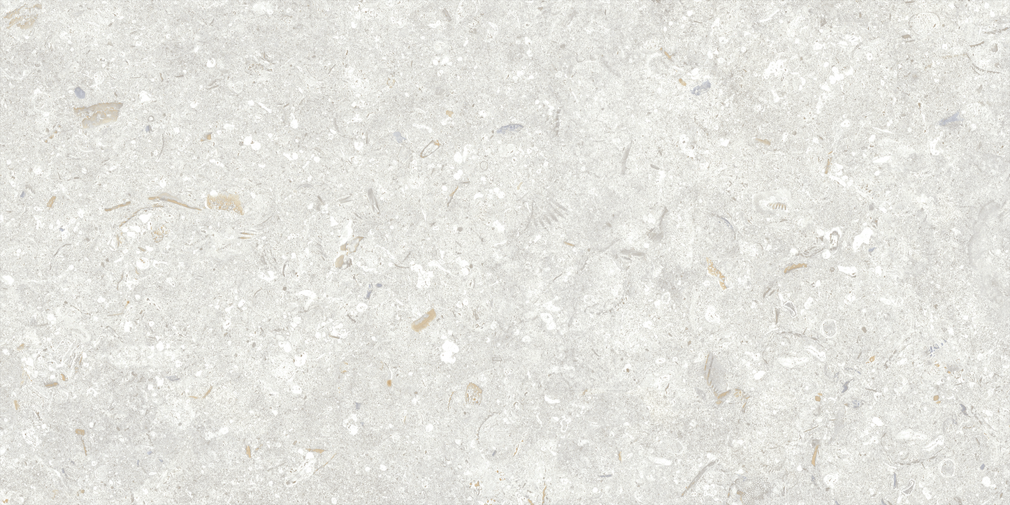 Fosil Perla 12x24 Matte Finish Porcelain Tile