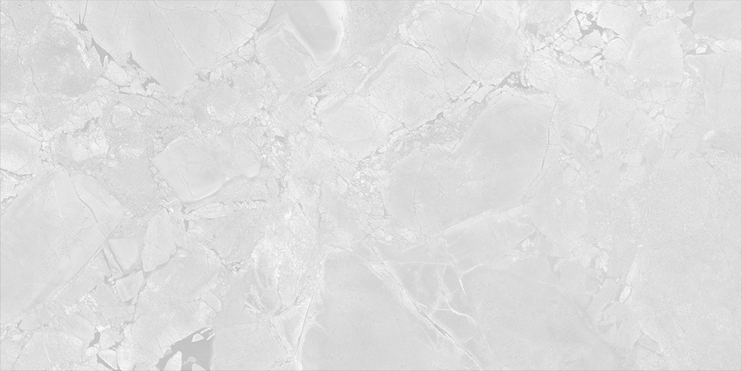 Jurassic White 24x48 Polished Finish Porcelain Tile