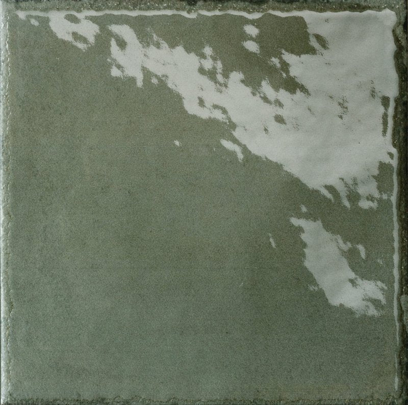Manufatti Undergrowth 8"x8" Decorative Polished Porcelain Tile