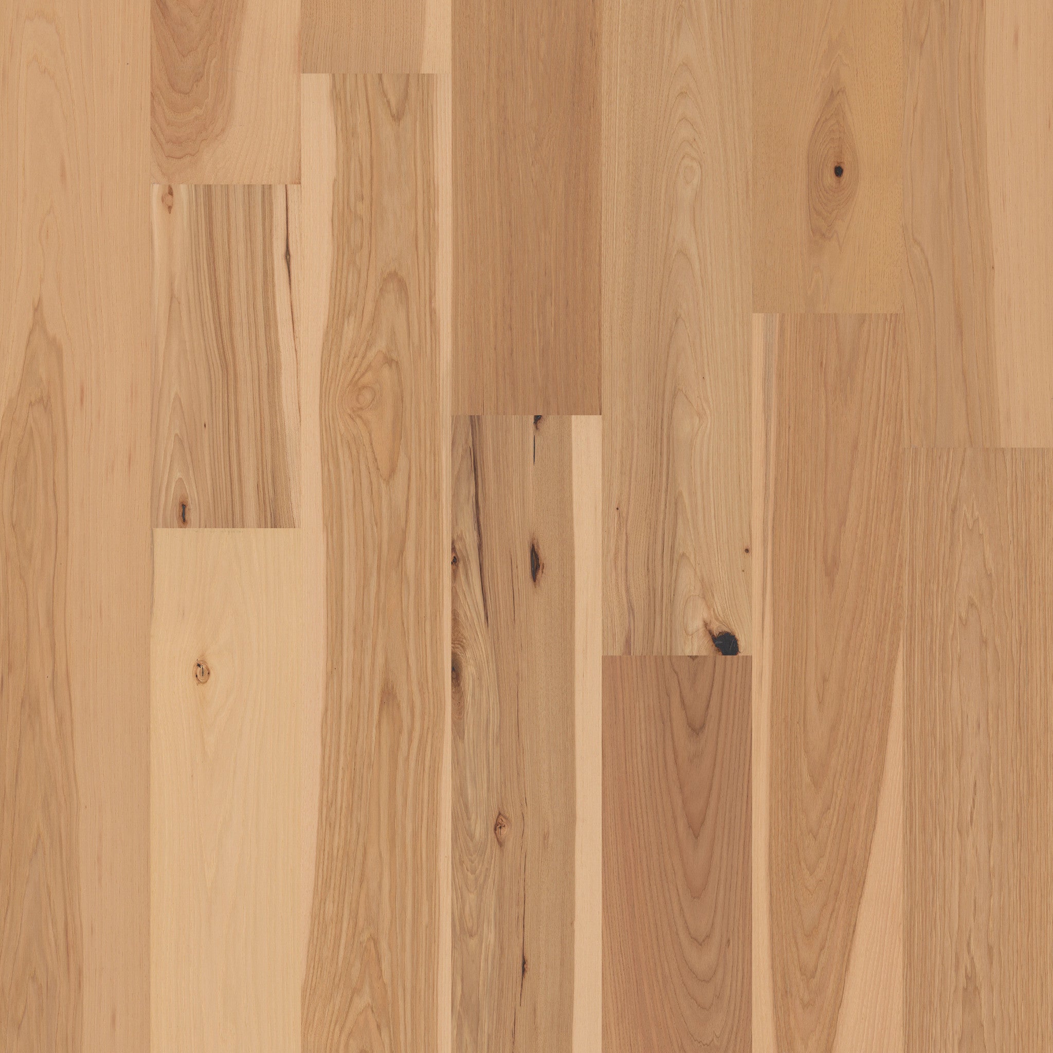 Shaw Floors Exquisite Natural Hickory 8