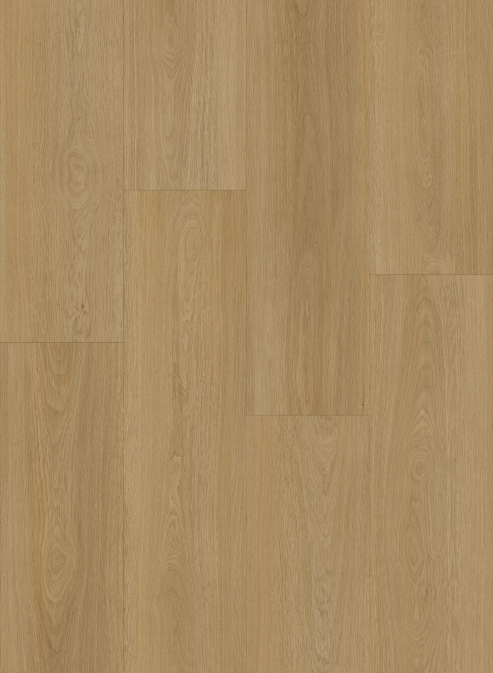 HTBC Oceanus Coastal Oak 9