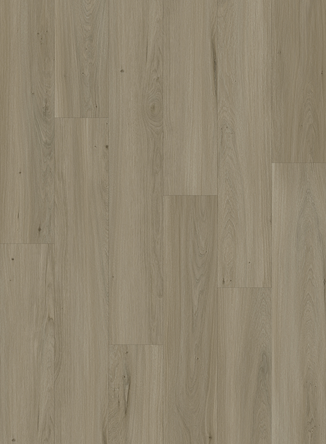 Harbinger Signature Poole 8