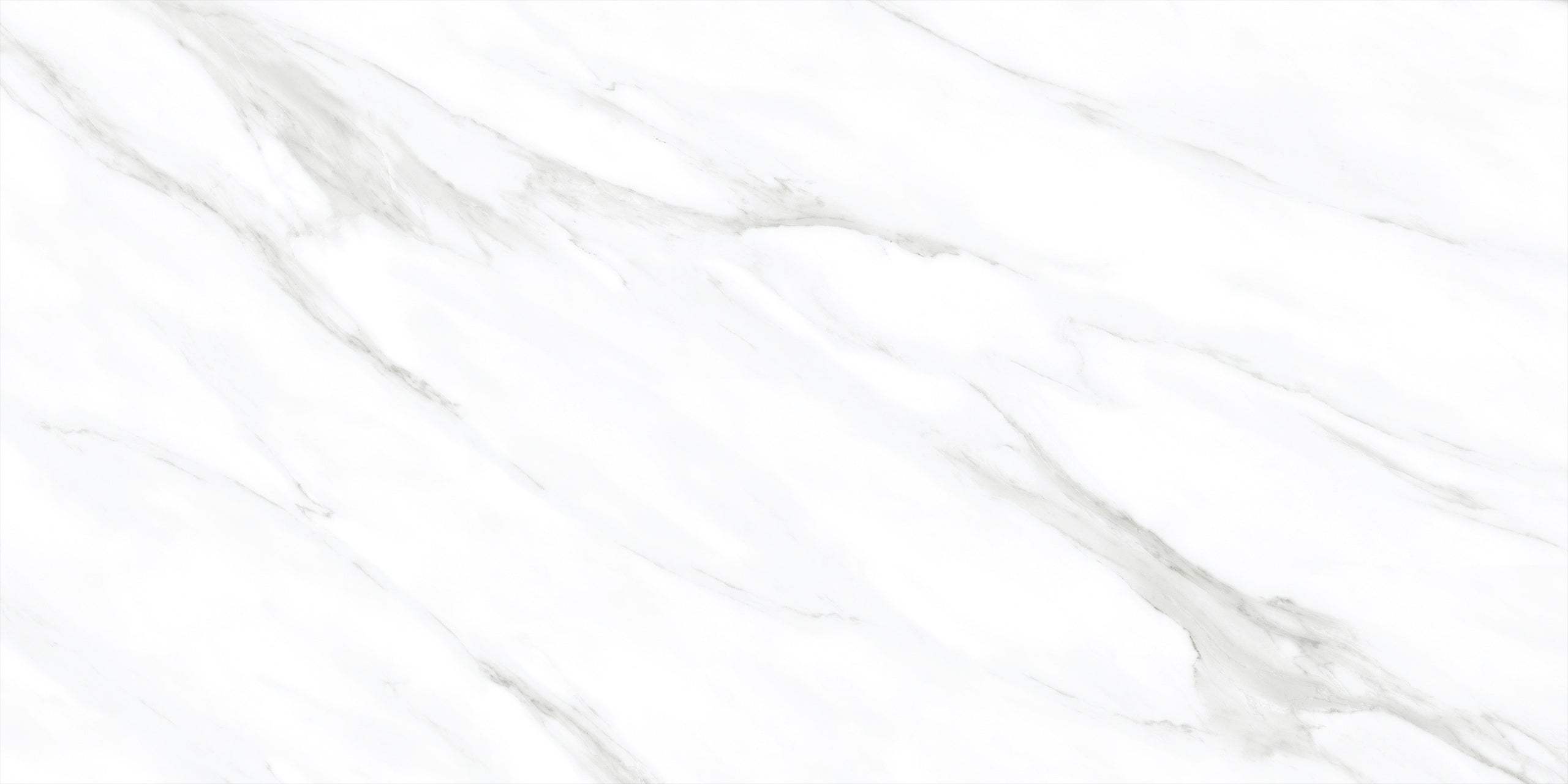 Royal Calacatta 24x48 Matte Marble Look Porcelain Tile