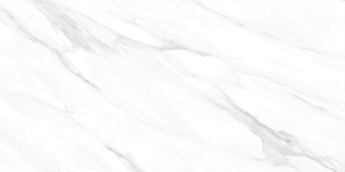 Royal Calacatta 24x48 Matte Marble Look Porcelain Tile