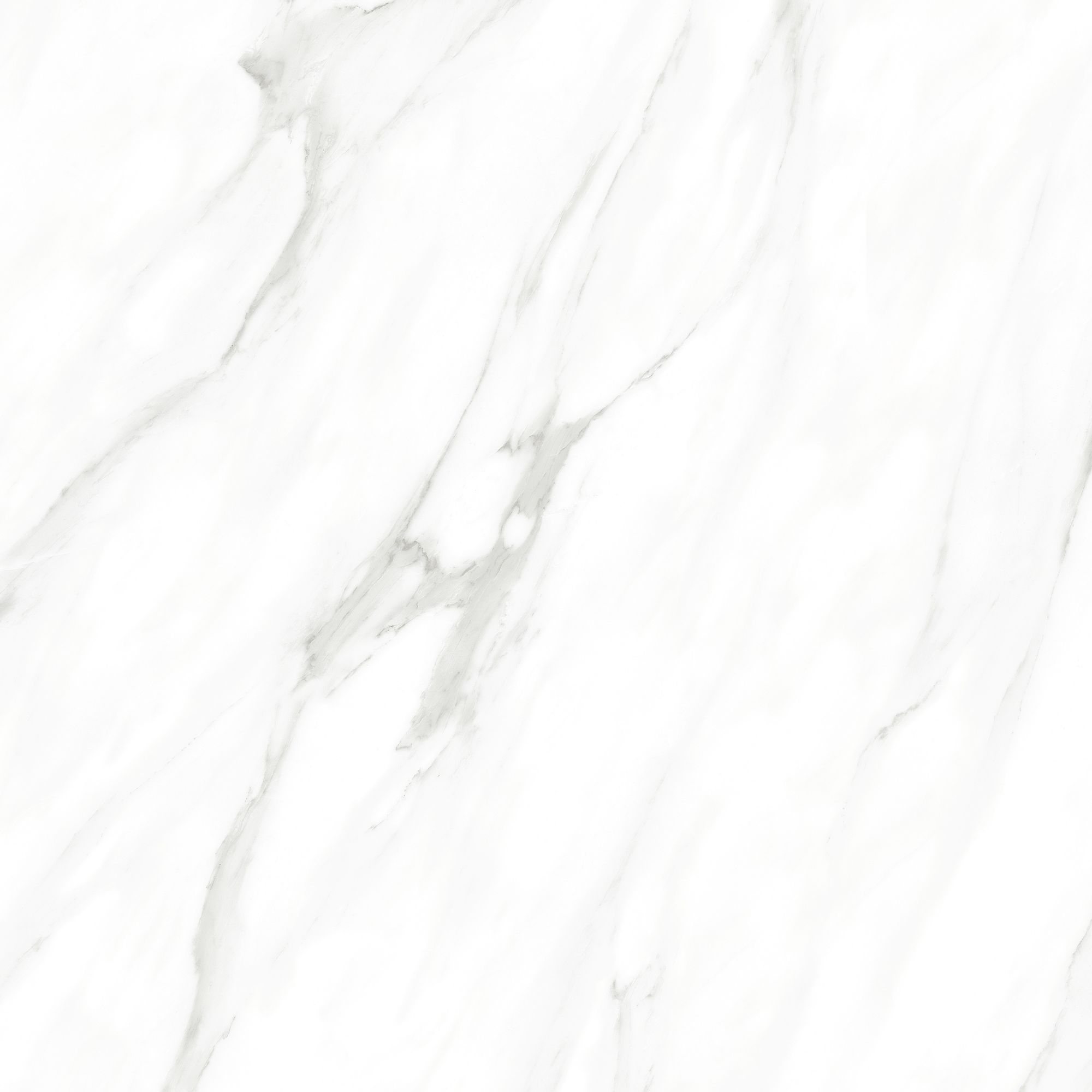 Royal Calacatta 24x24 Polished Marble Look Porcelain Tile