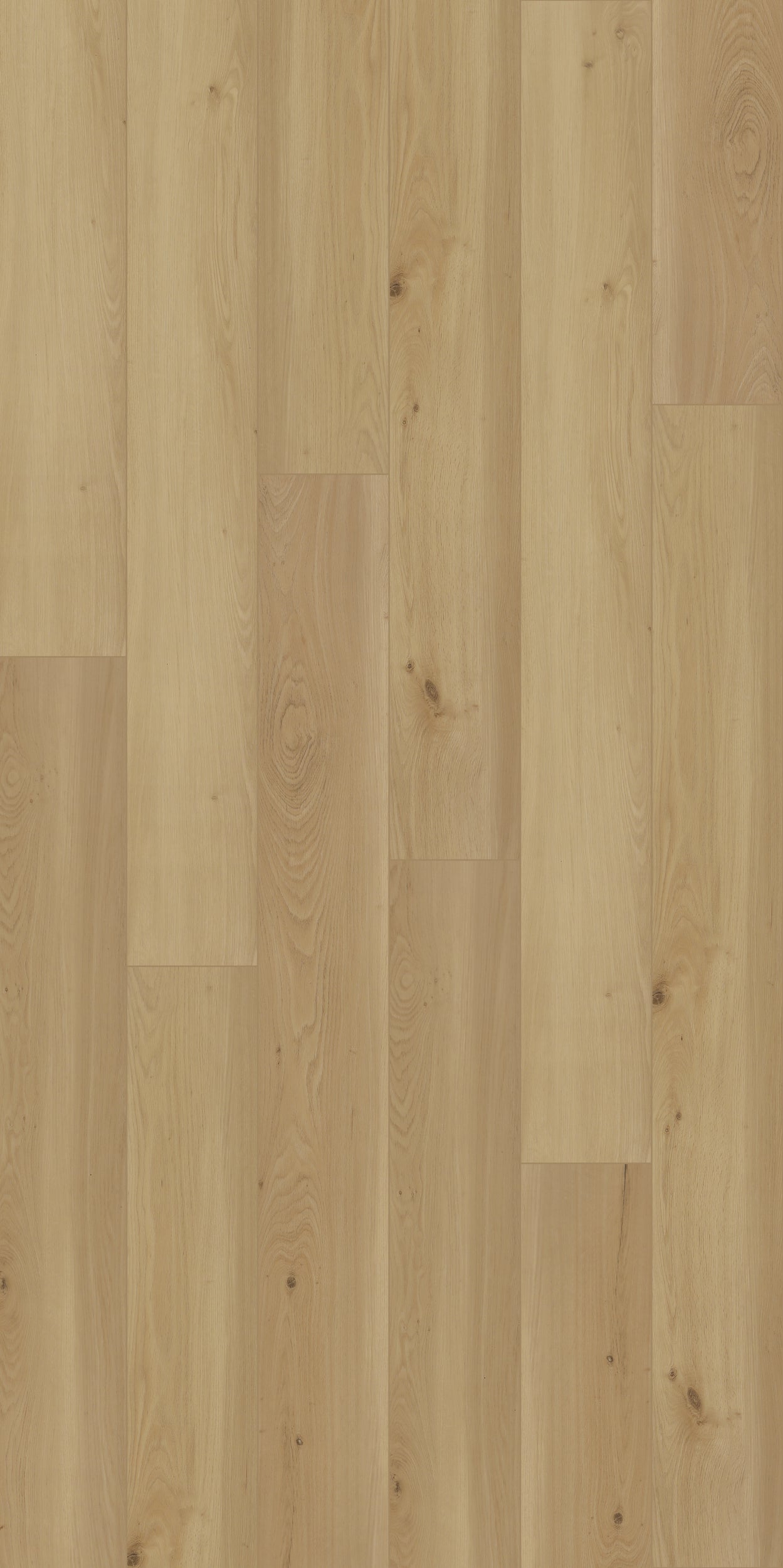 Biyork Hydrogen-8 Silent Morning 9