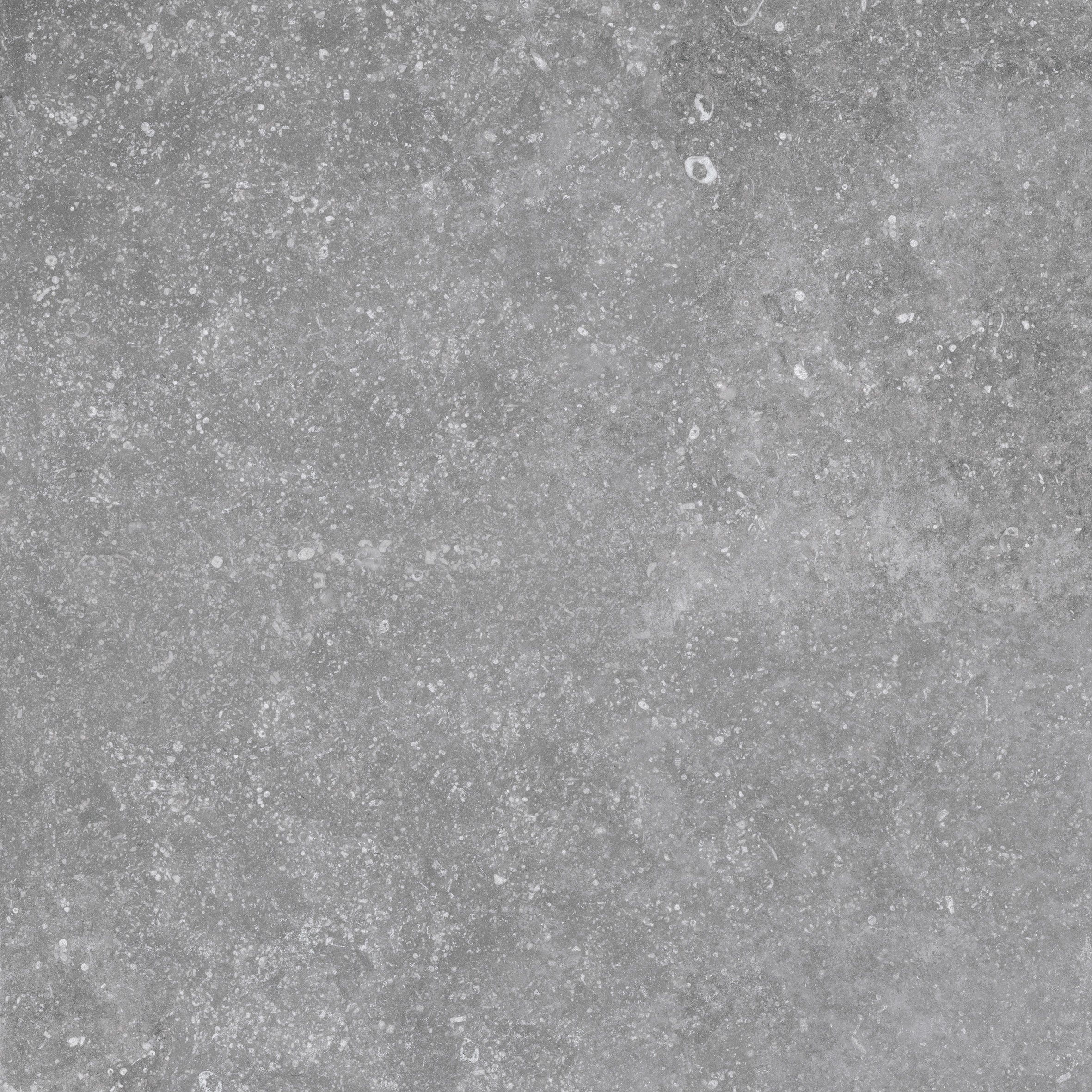 trendy Light Grey Porcelain Tile
