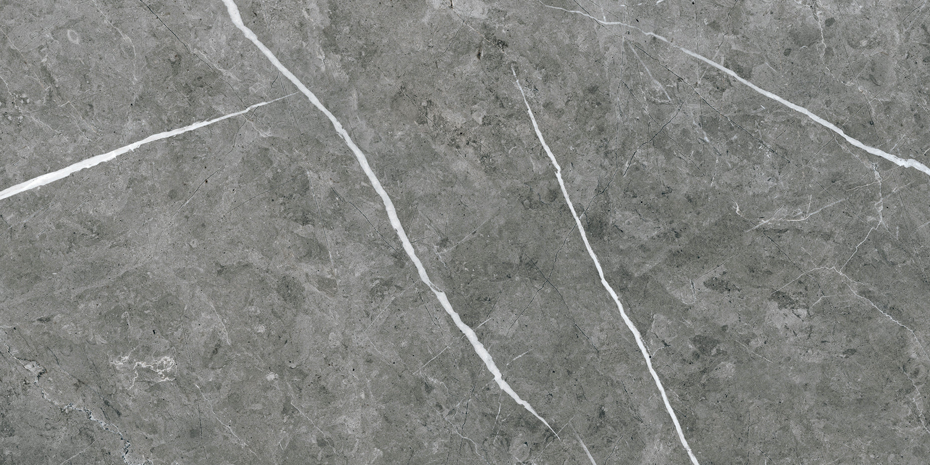 Theater Grey 12x24 Matte Finish Marble Effect Porcelain Tile