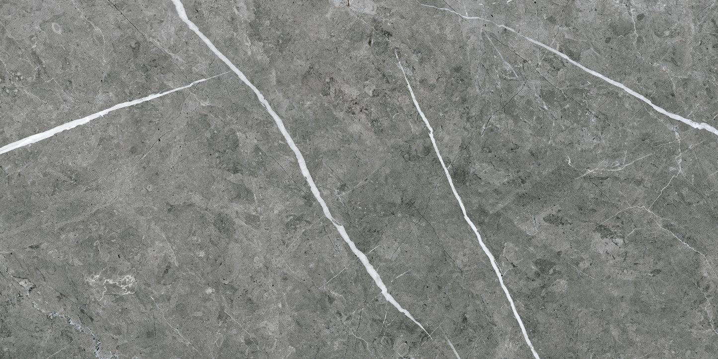 Theater Grey 12x24 Matte Finish Marble Effect Porcelain Tile