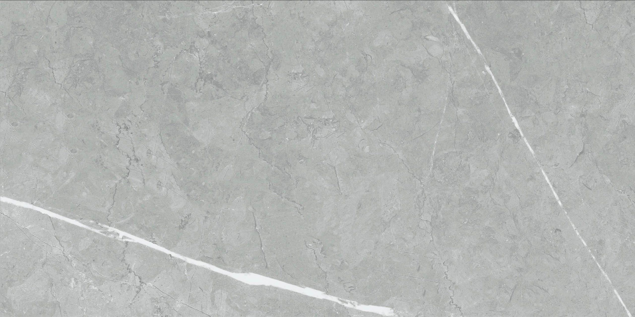 Vena Light Grey 12x24 Matte Marble Look Porcelain Tile