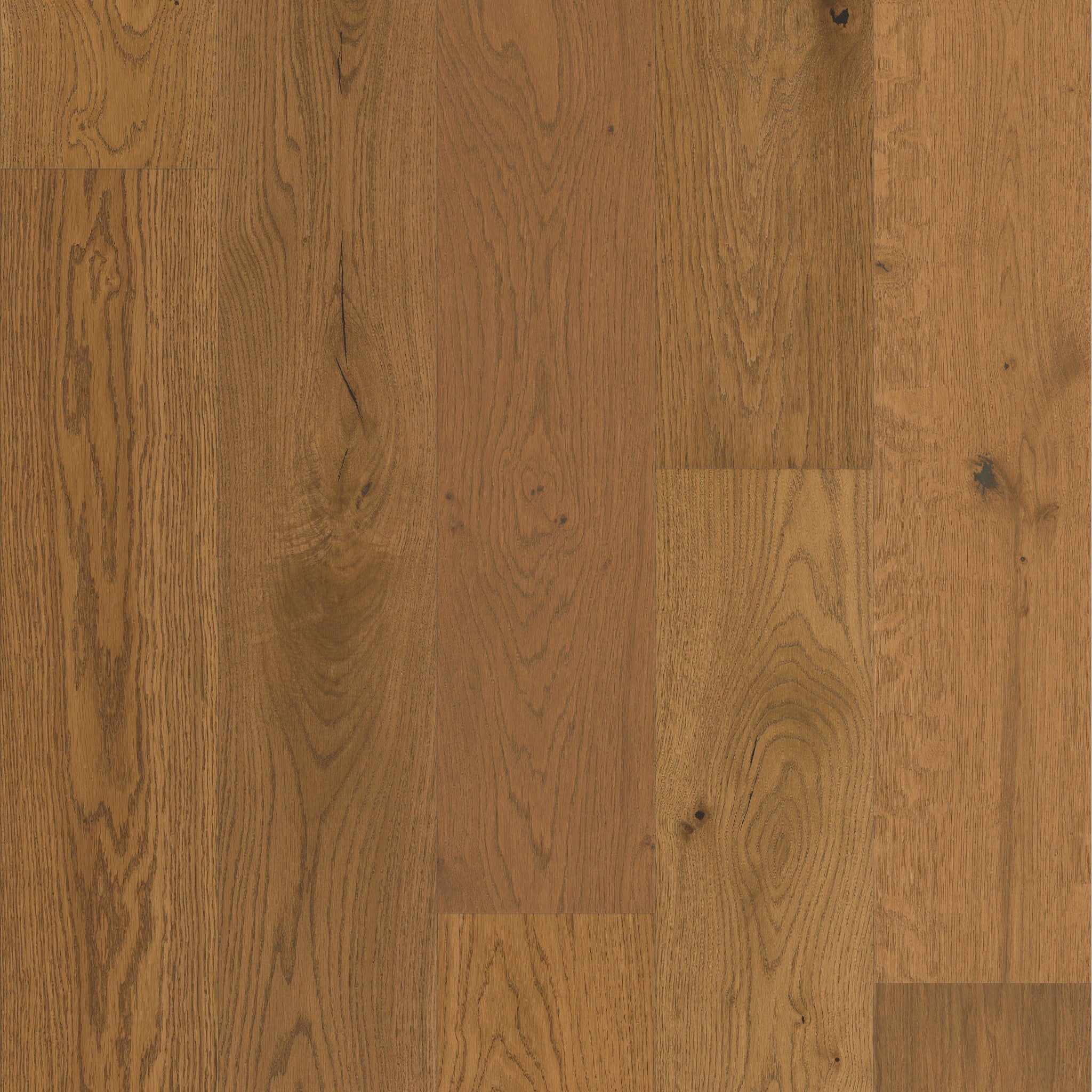 Shaw Floors Exquisite Warmed Oak 8