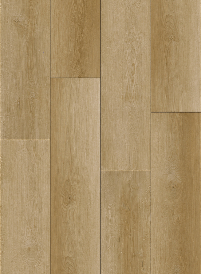 Harbinger Signature Aberdeen 9