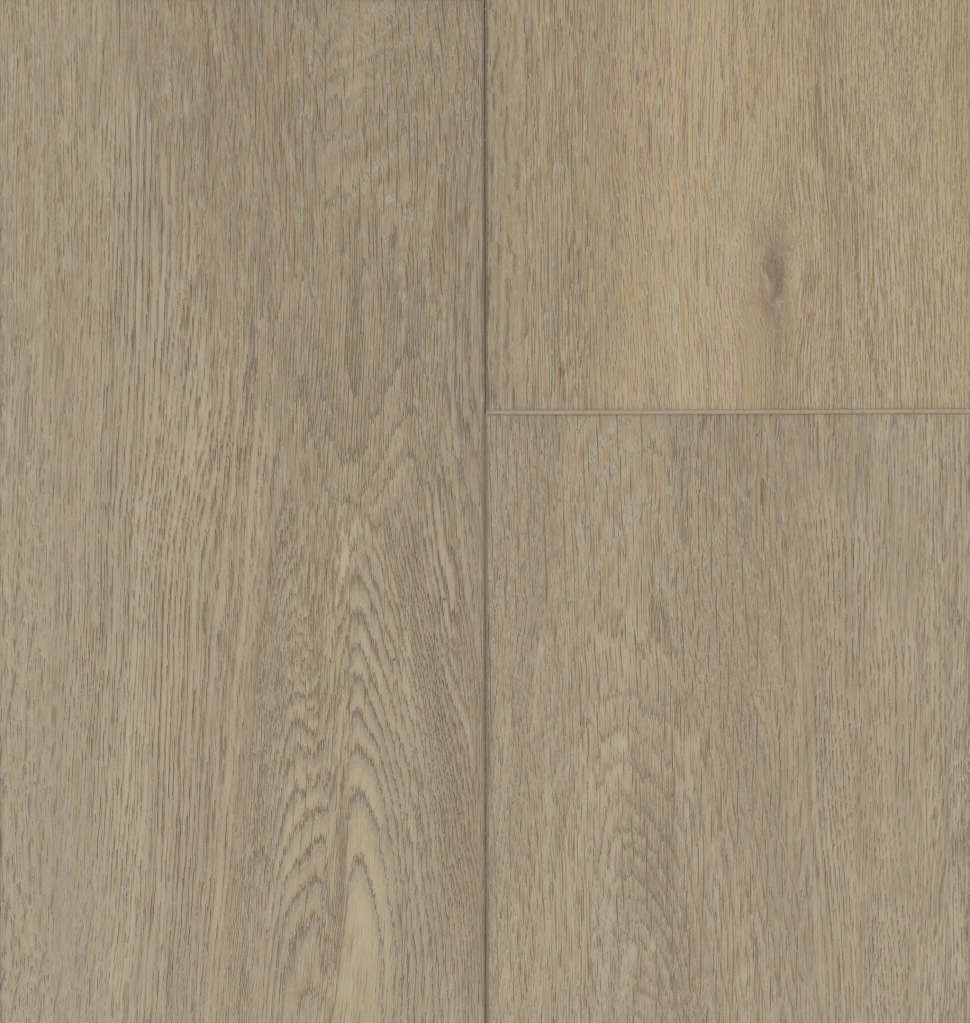 Taiga Aquila Focus 7