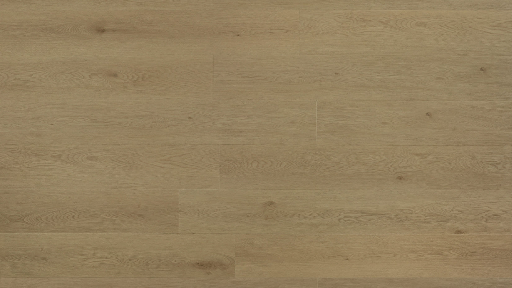 Grandeur August Dusk 9