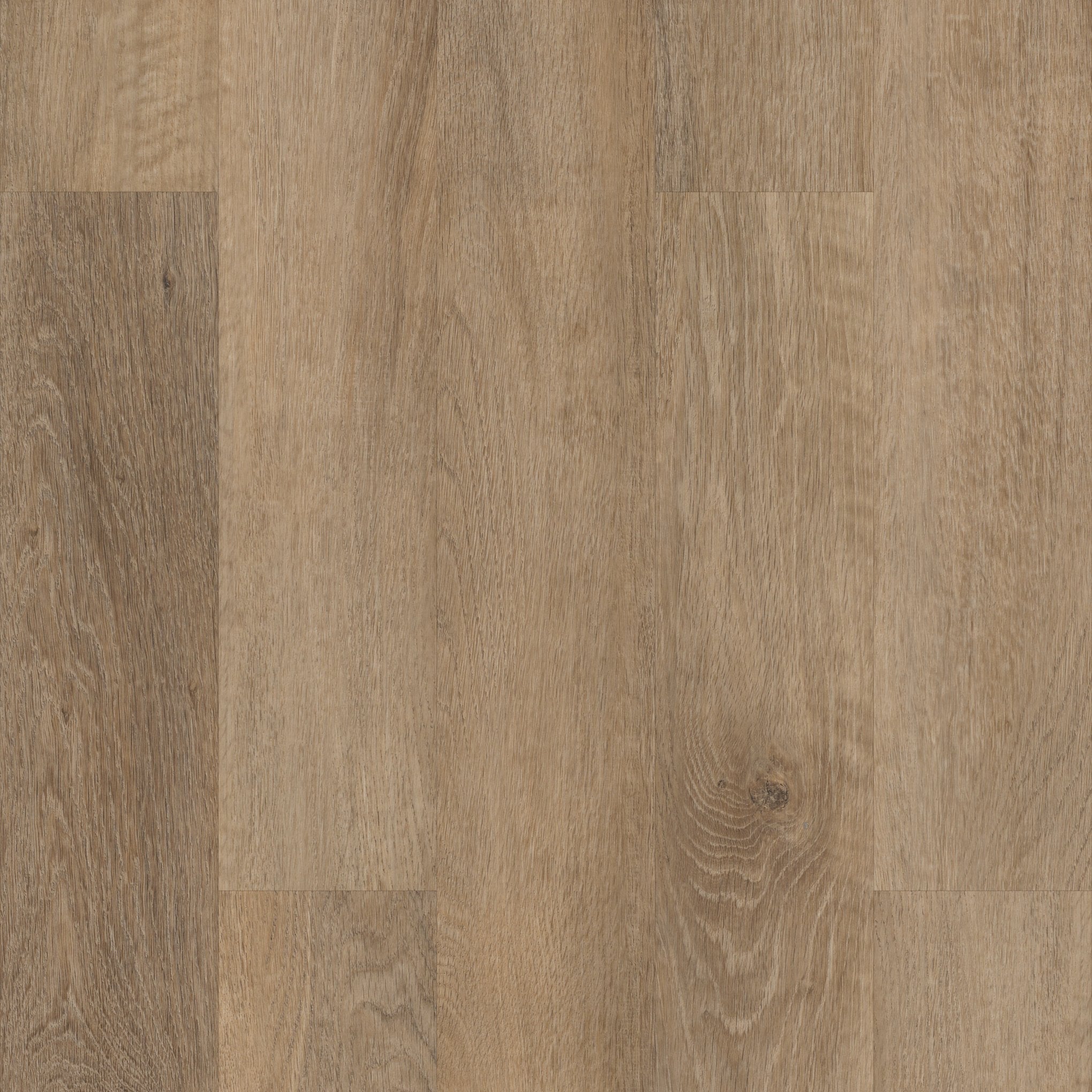 Coretec Brockport Oak 5