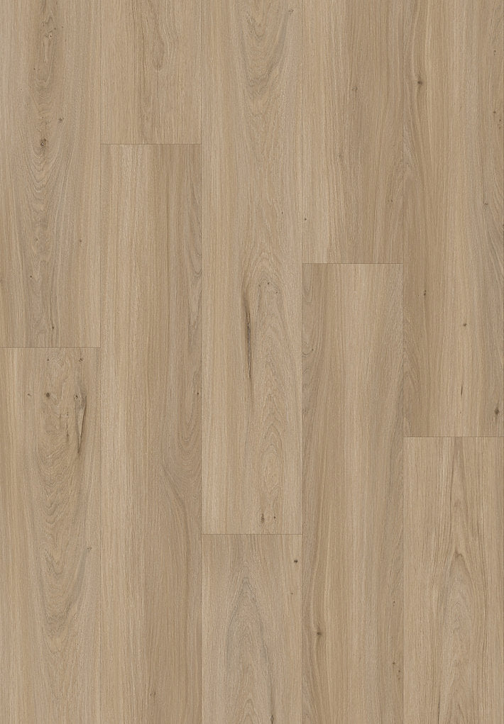 Harbinger Craftsman Brunei 9