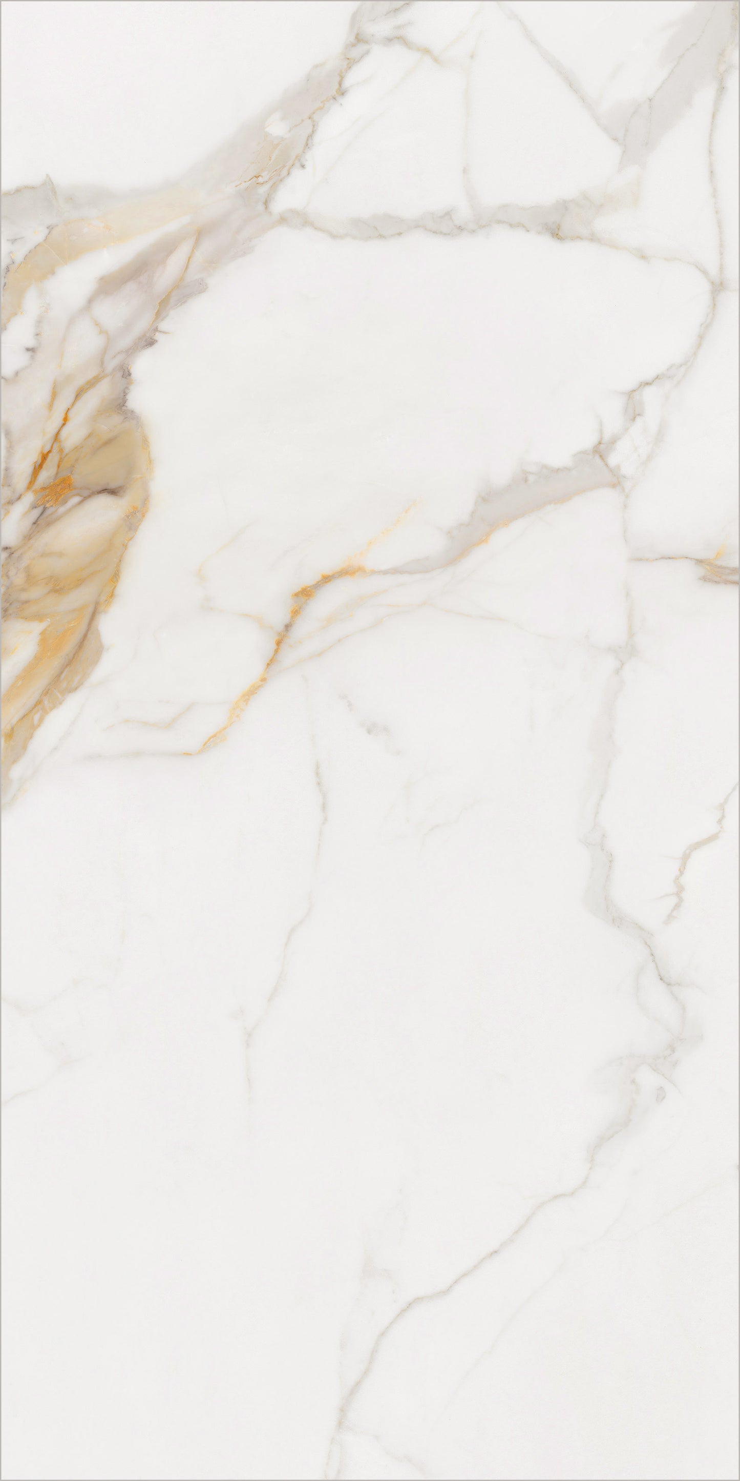 Calacatta Premium 24x48 Polished Marble Look Porcelain Tile
