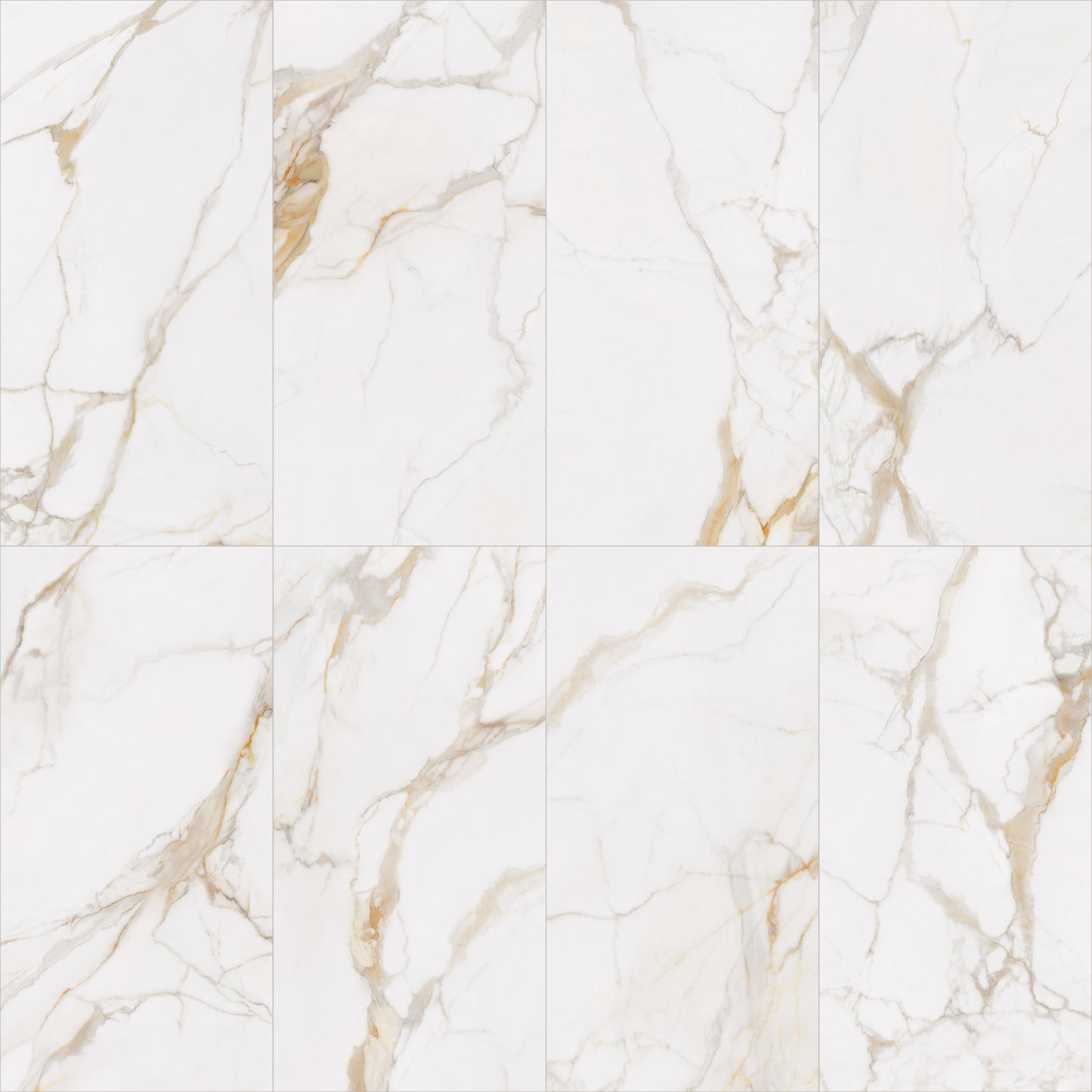 Calacatta Premium 24x48 Polished Marble Look Porcelain Tile