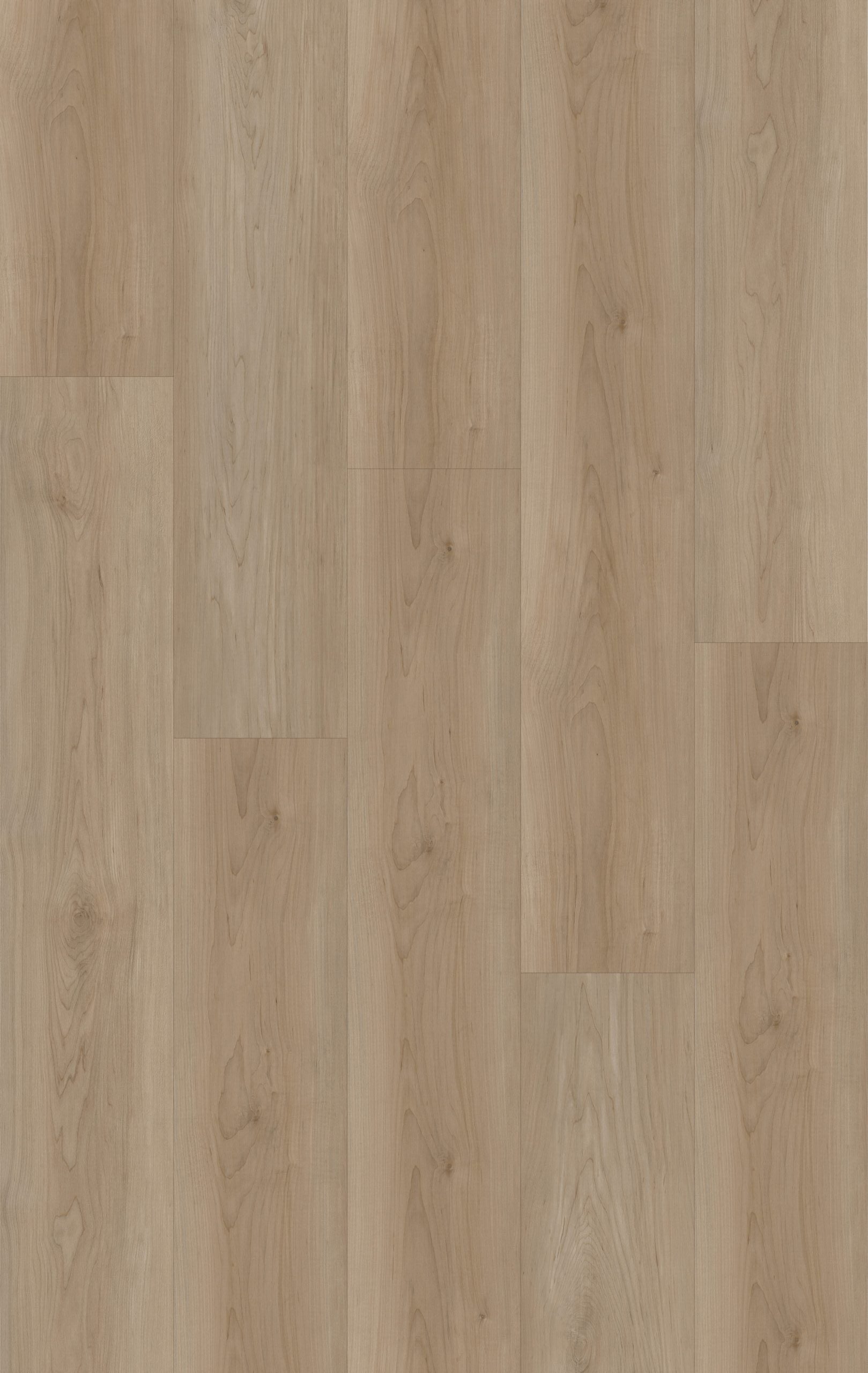 HTBC Maple Essence Canvas 9