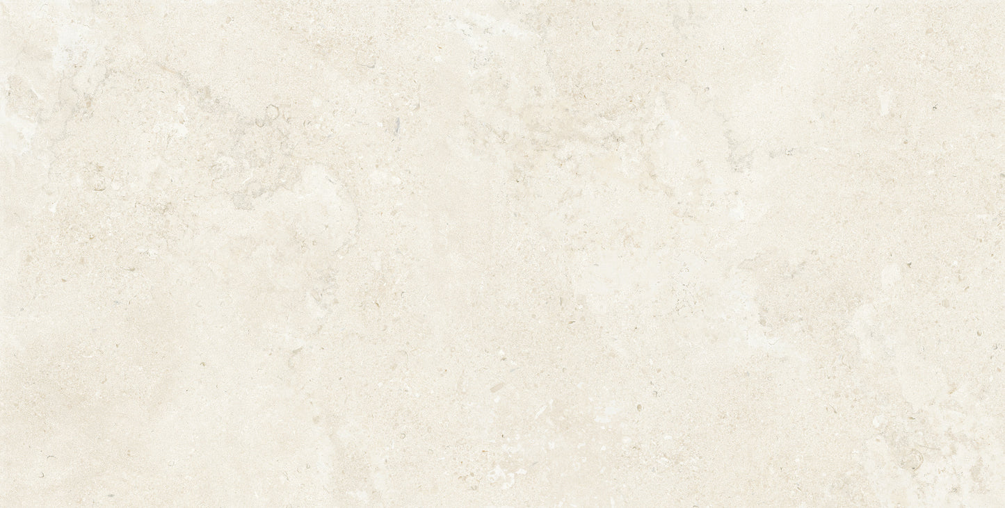 Capital Pearl Honed 24"x48" Matte Finish Porcelain Tile