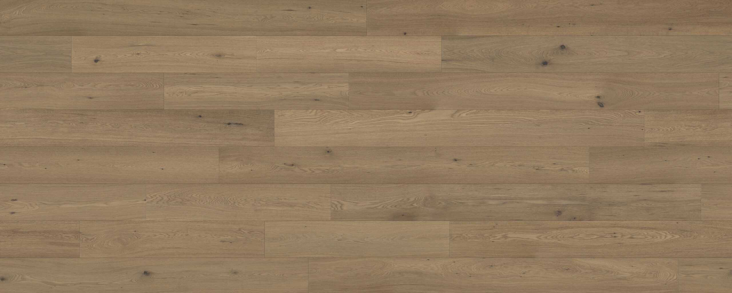 HTBC Coastal Cordova 7.5