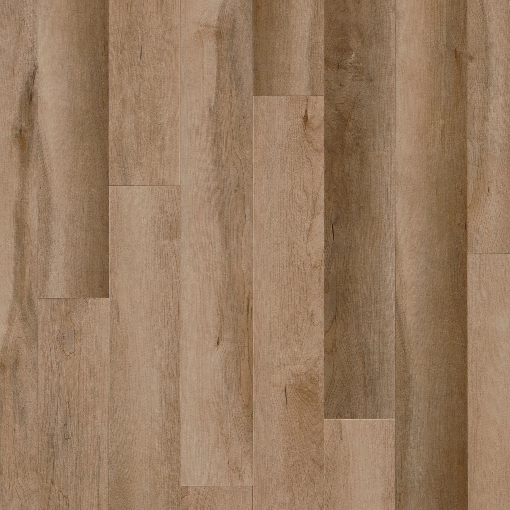 Coretec Dawson Maple 5