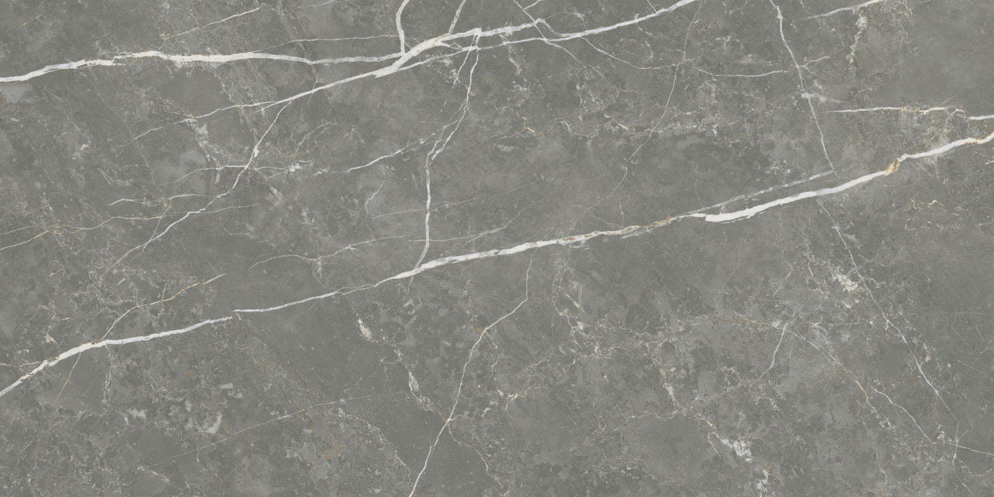 Elite Graphite 12x24 Polished