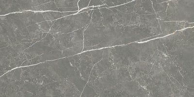 Elite Graphite 12x24 Polished