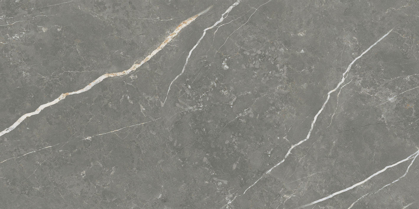 Elite Graphite 12x24 Matte