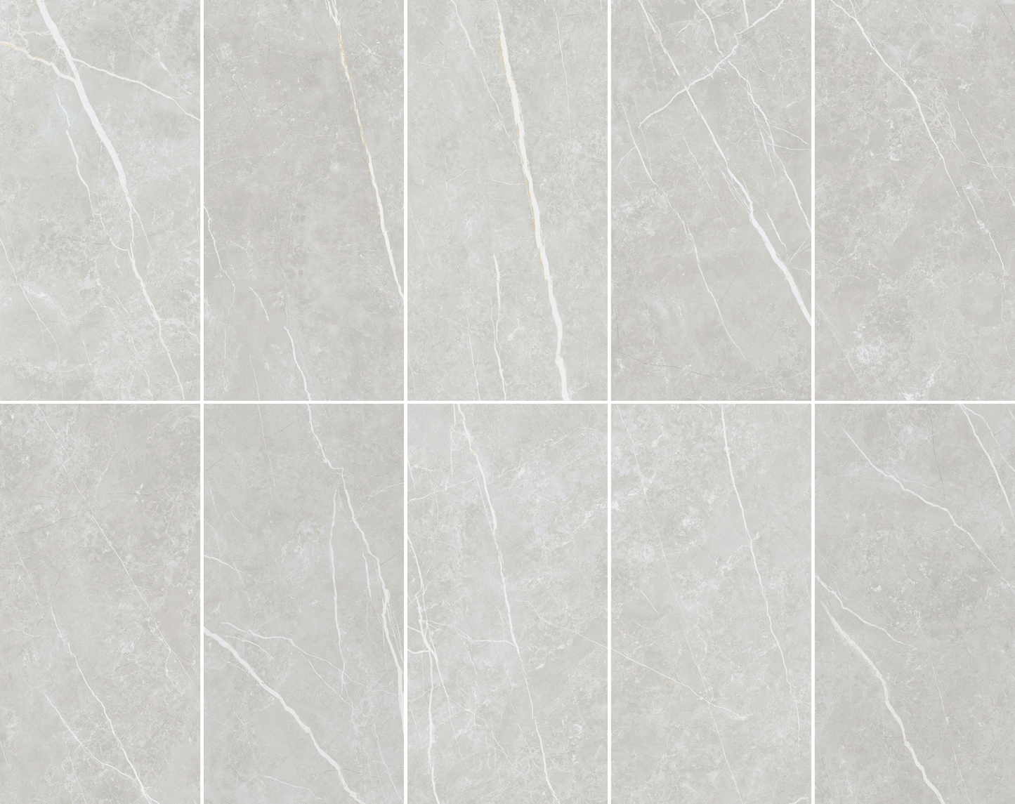 Elite Silver 12x24 Matte