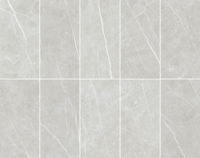 Elite Silver 12x24 Polished