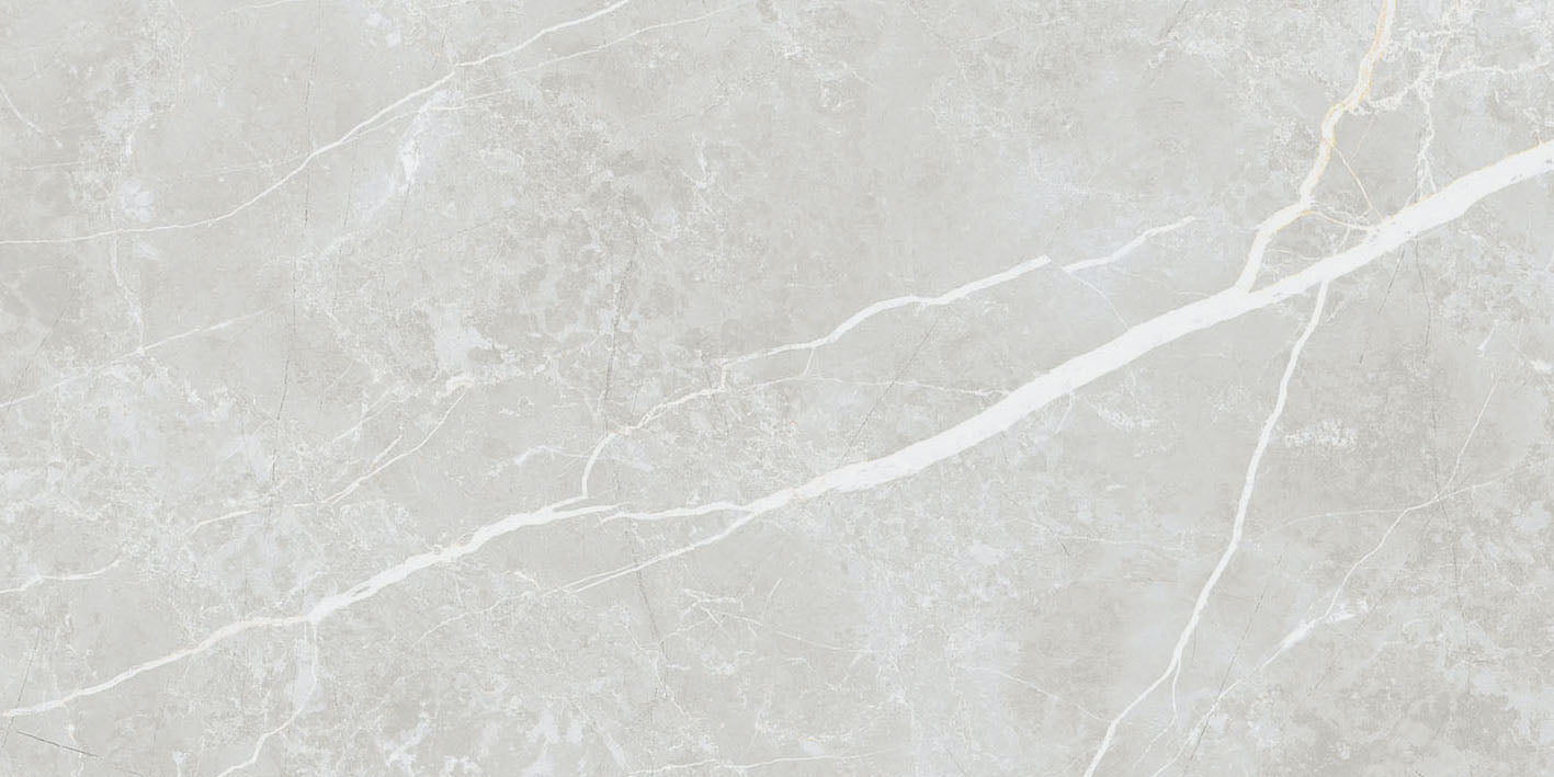 Elite Silver 12x24 Matte