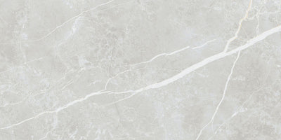 Elite Silver 12x24 Matte