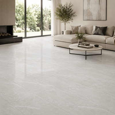 Elite Silver 12x24 Polished