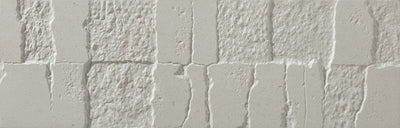 Edra Silver 6x20 Matte Finish Porcelain Brick Tile
